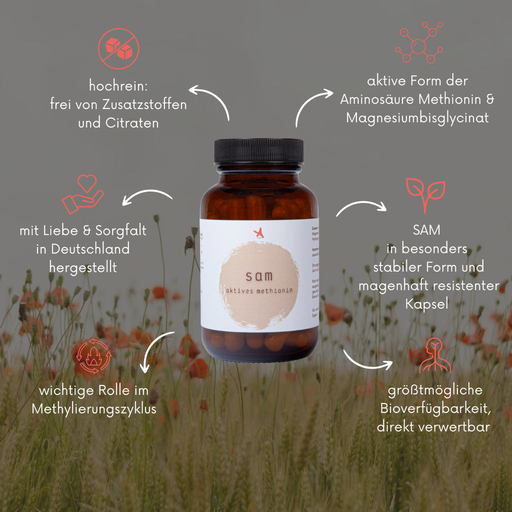 SAMe 60 Kapseln | S-Adenosyl-methionin