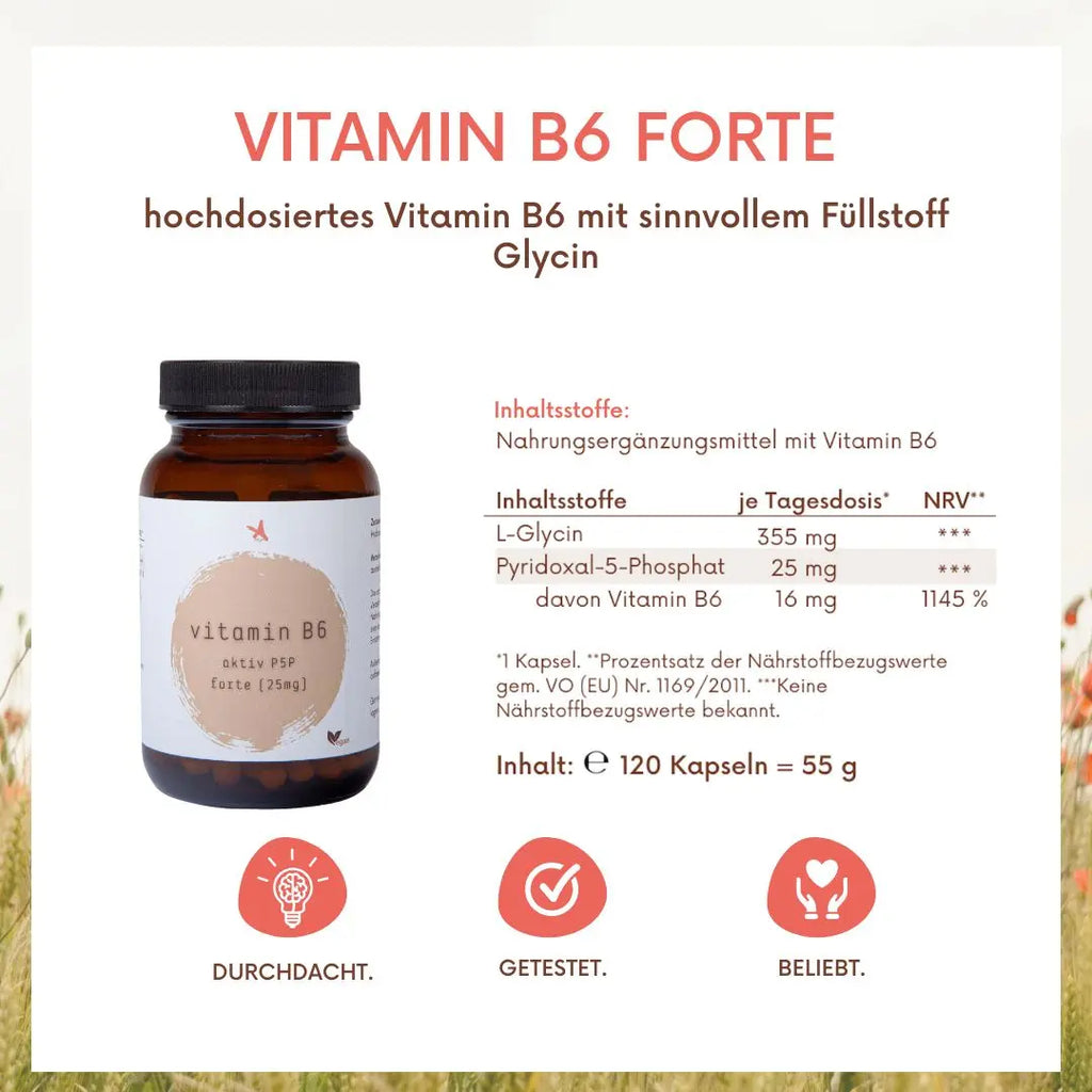 Vitamin B6 aktiv forte - 120 Kapseln