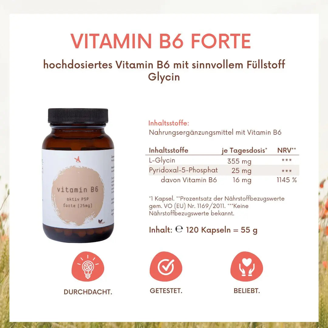 Vitamin B6 aktiv forte - 120 Kapseln