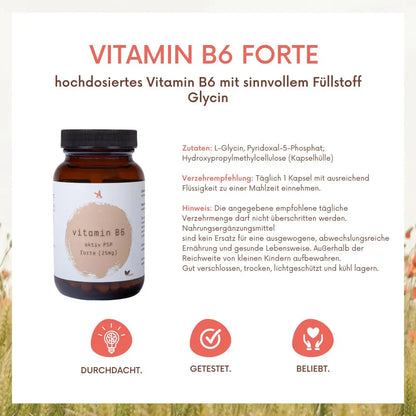 Vitamin B6 aktiv forte - 120 Kapseln