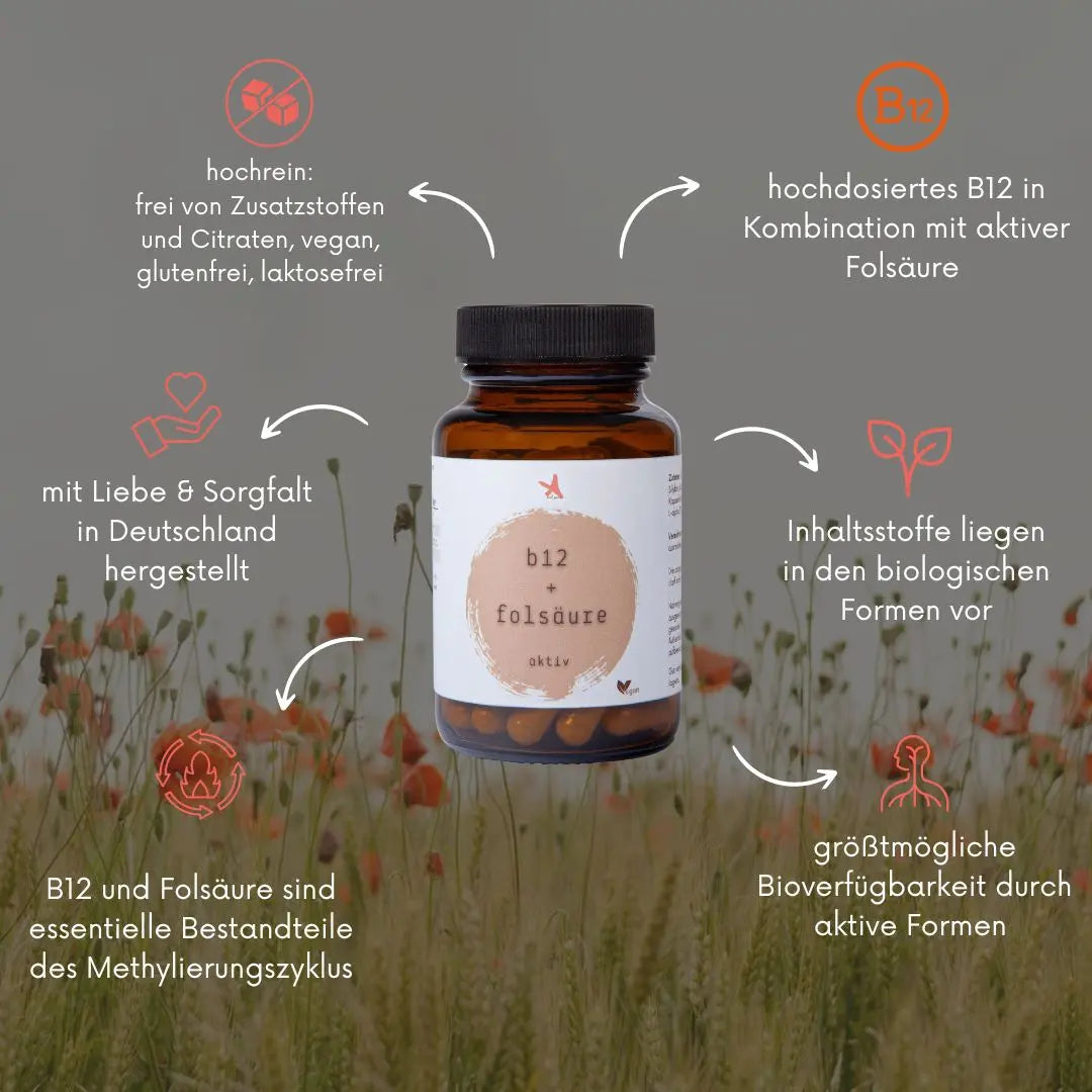 Vitamin B12 + Folsäure aktiv - 60 Kapseln