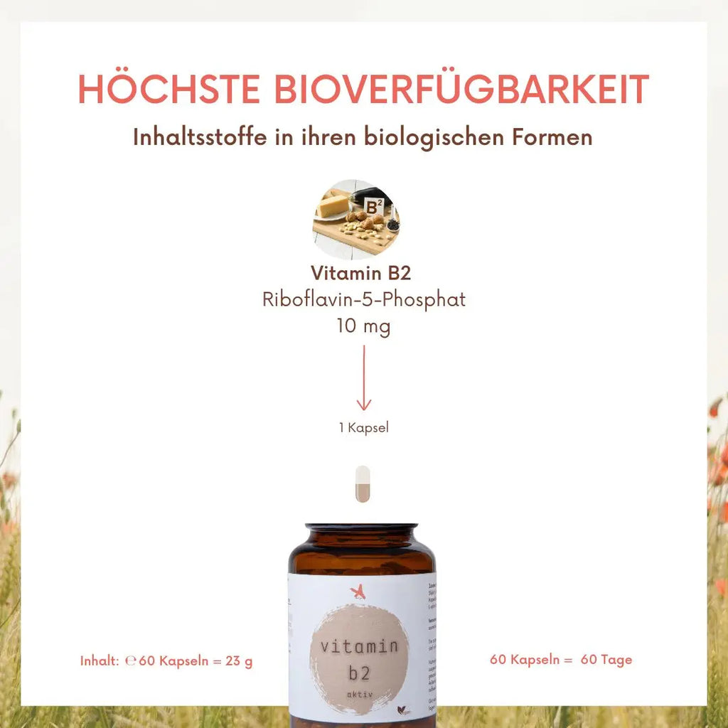 Vitamin B2 - 60 Kapseln