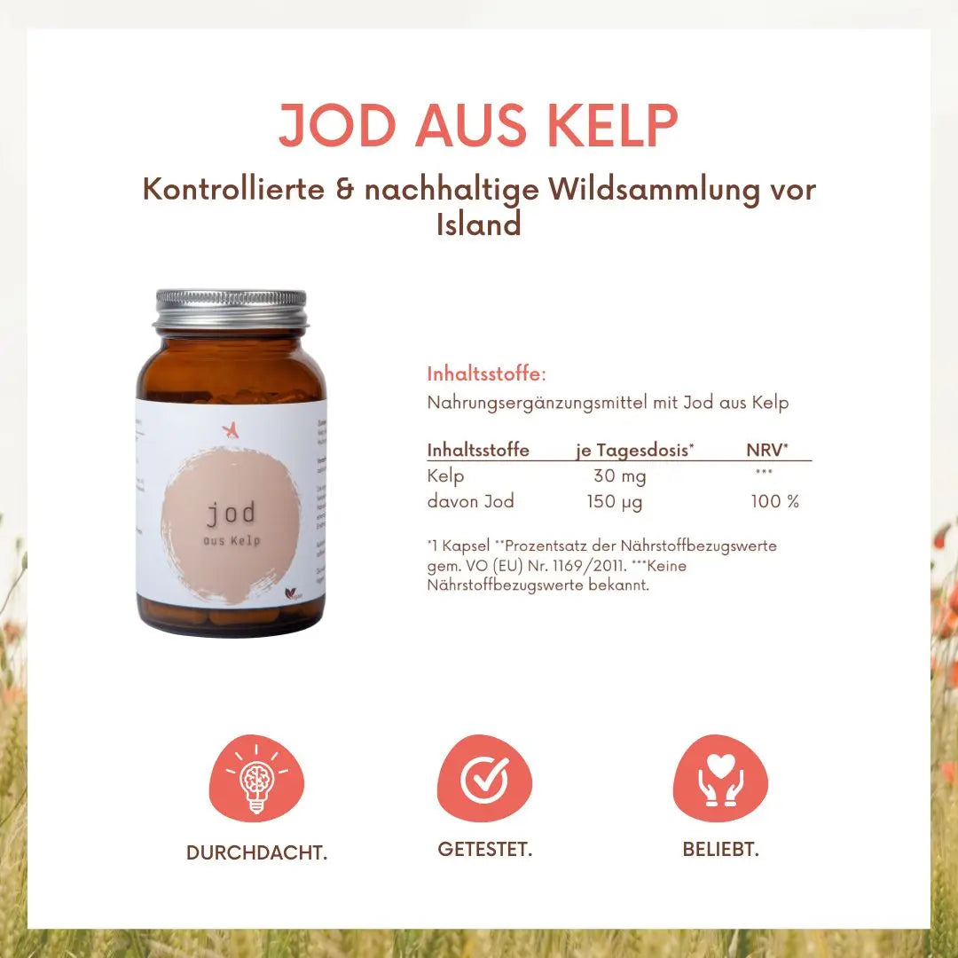 Jod aus Kelp - 120 Kapseln