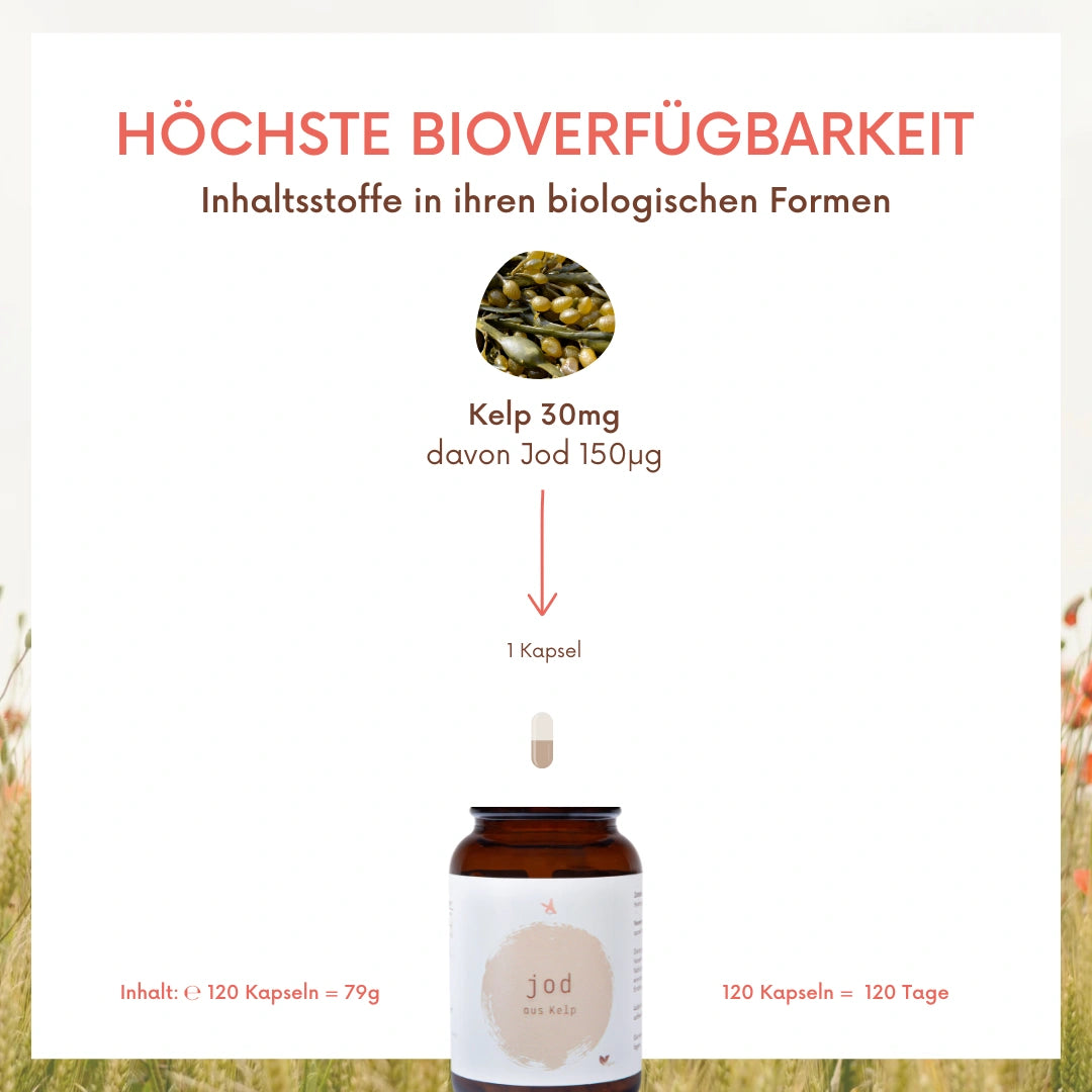 Jod aus Kelp - 120 Kapseln