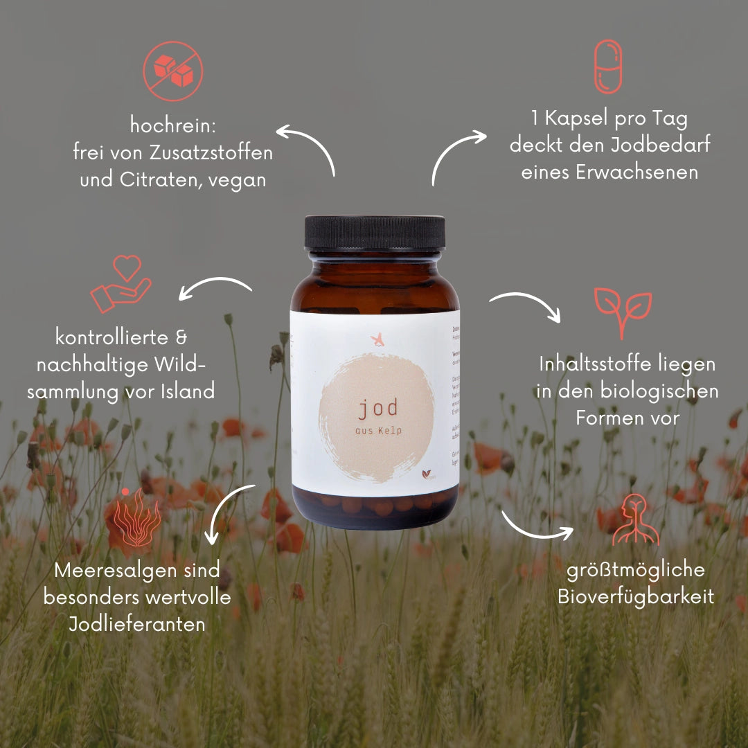 Jod aus Kelp - 120 Kapseln