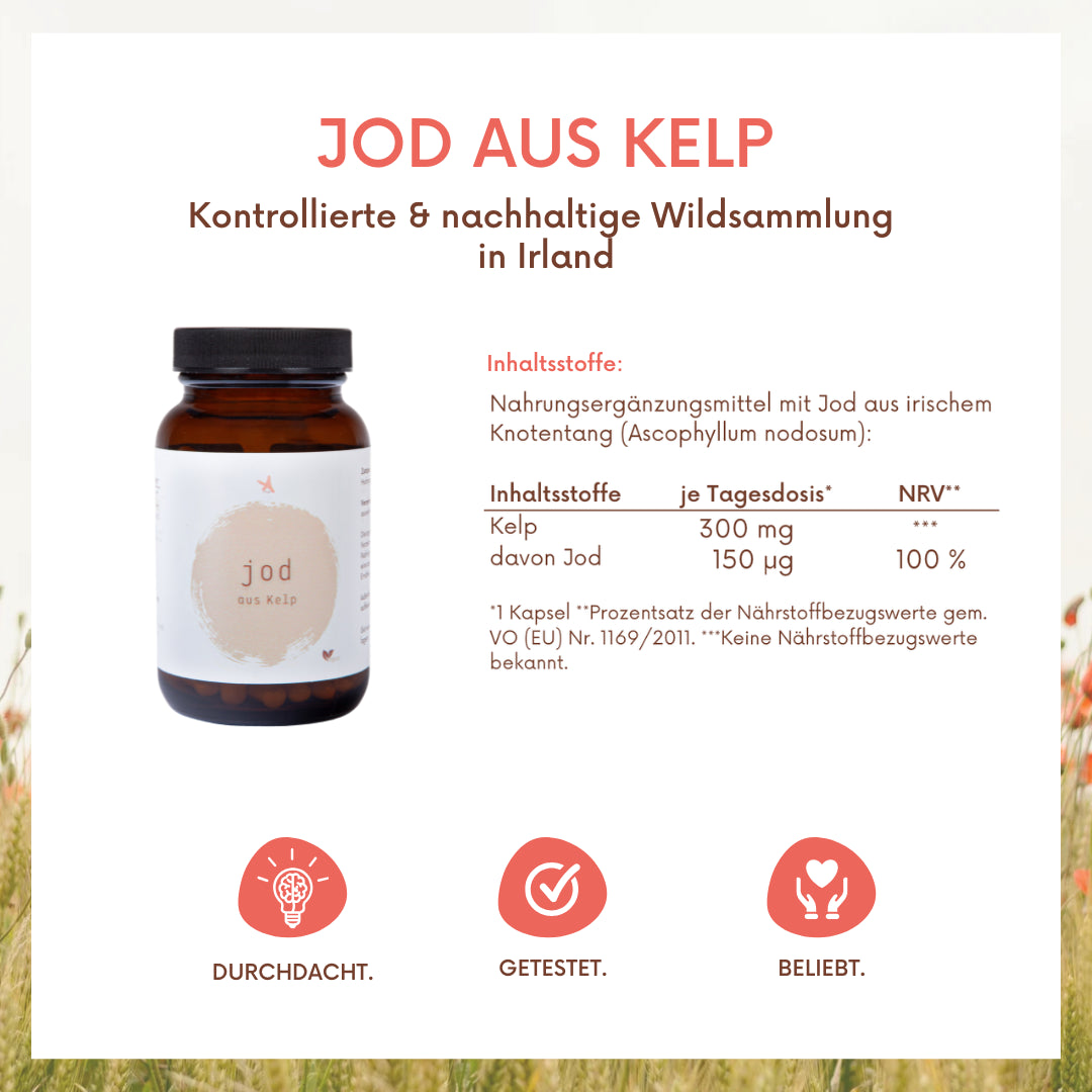 Jod aus Kelp - 120 Kapseln