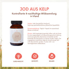 Jod aus Kelp - 120 Kapseln