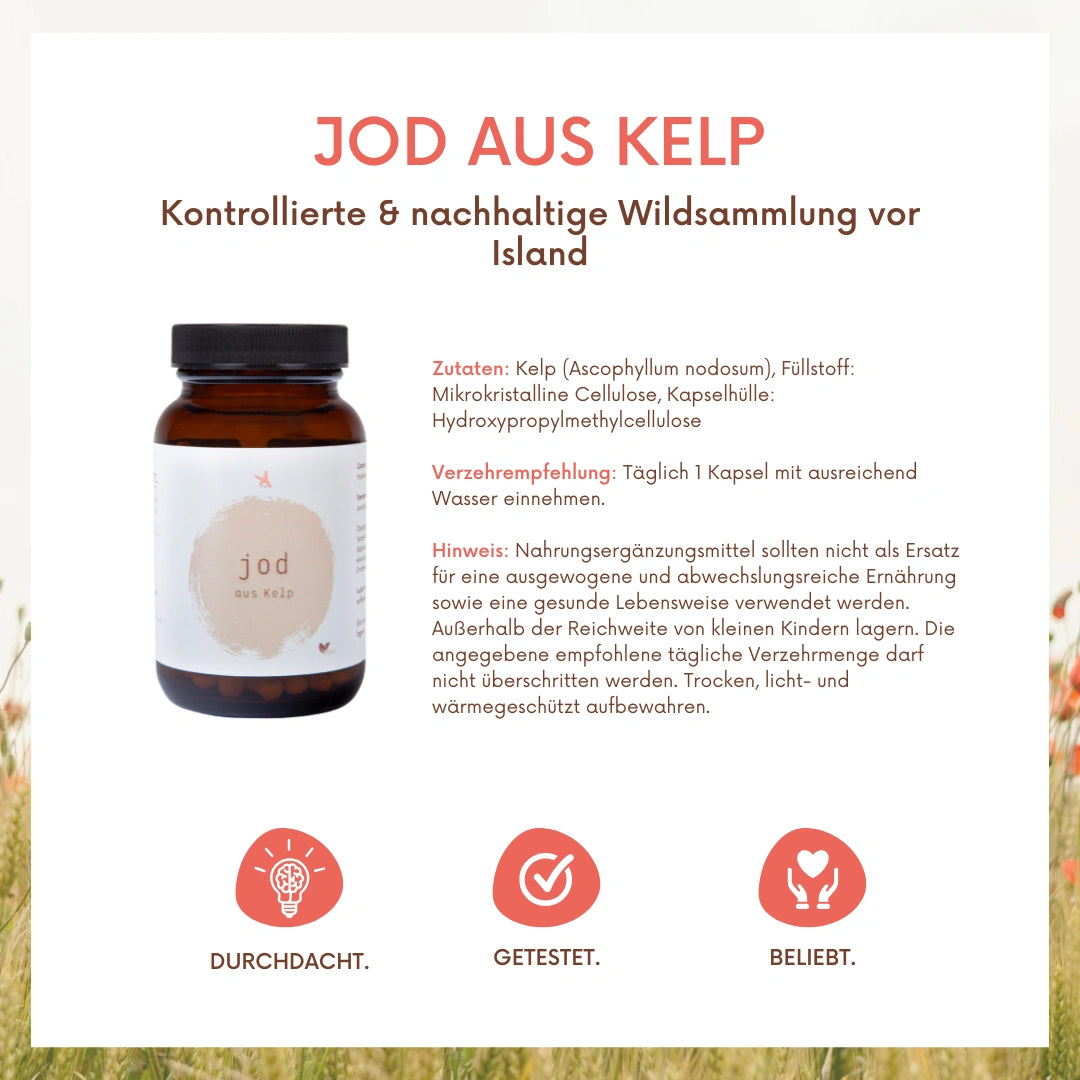 Jod aus Kelp - 120 Kapseln