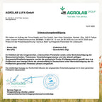 Jod aus Kelp - 120 Kapseln
