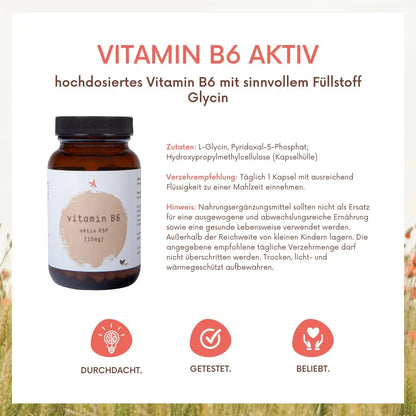 Vitamin B6 aktiv - 120 Kapseln