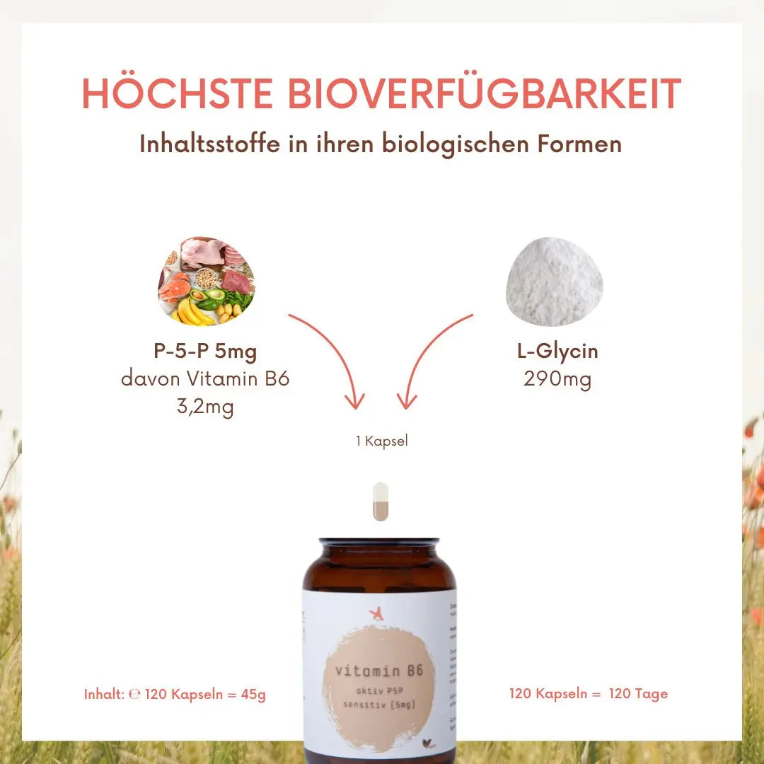 Vitamin B6 aktiv sensitiv - 120 Kapseln