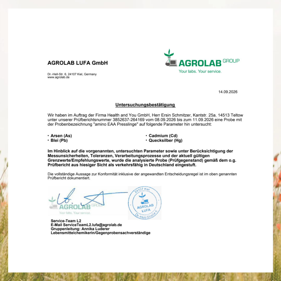 Amino EAA - 300 Presslinge