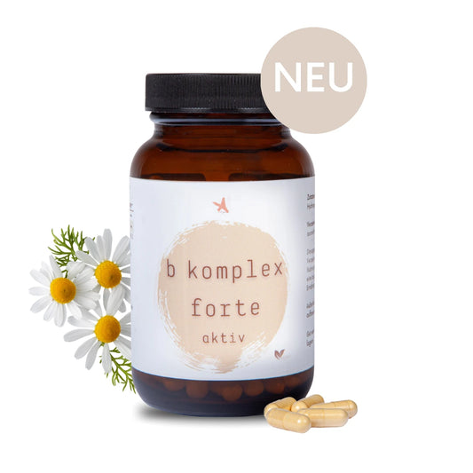 B-Komplex forte aktiv - 120 Kapseln