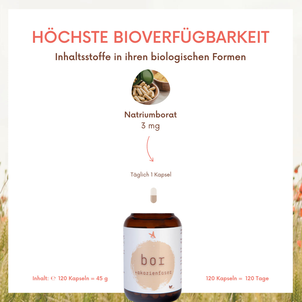 Bor + Akazienfaser - 120 Kapseln