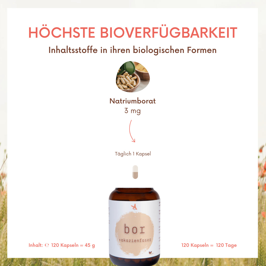 Bor + Akazienfaser - 120 Kapseln