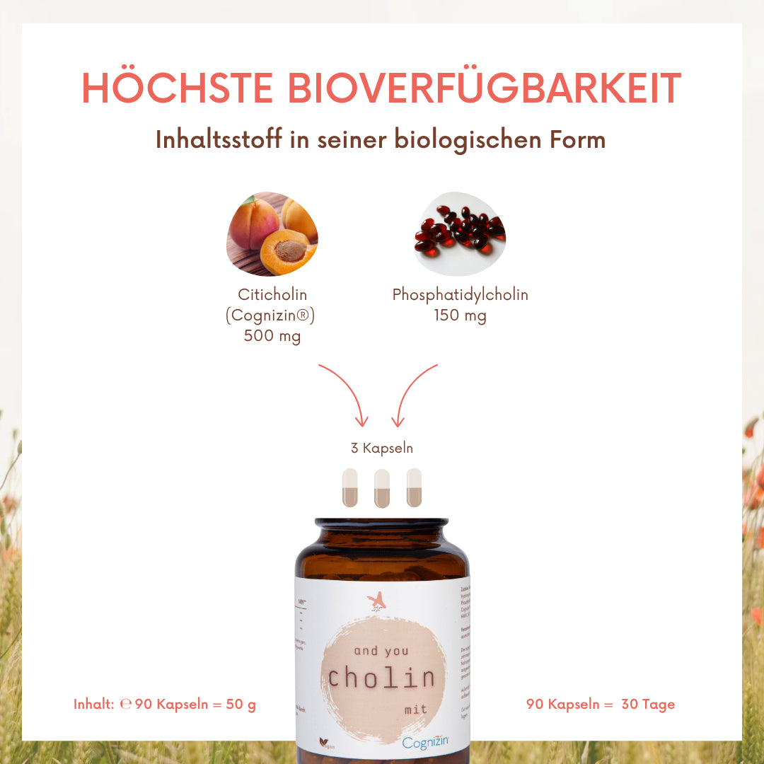 and you cholin mit Cognizin – 90 Kapseln