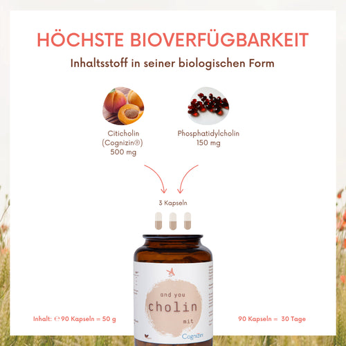 and you cholin mit Cognizin – 90 Kapseln