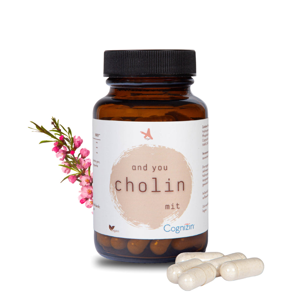 and you cholin mit Cognizin – 90 Kapseln