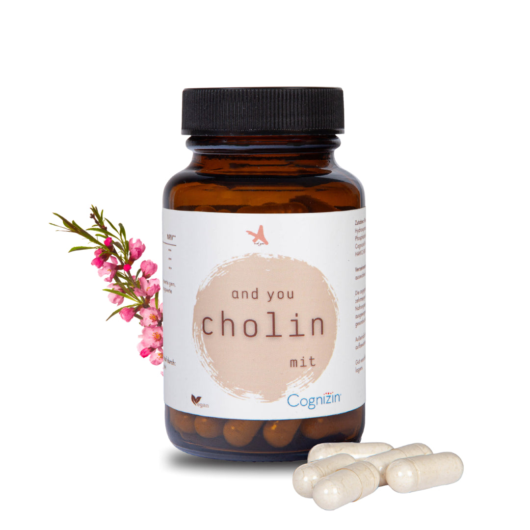 and you cholin mit Cognizin – 90 Kapseln