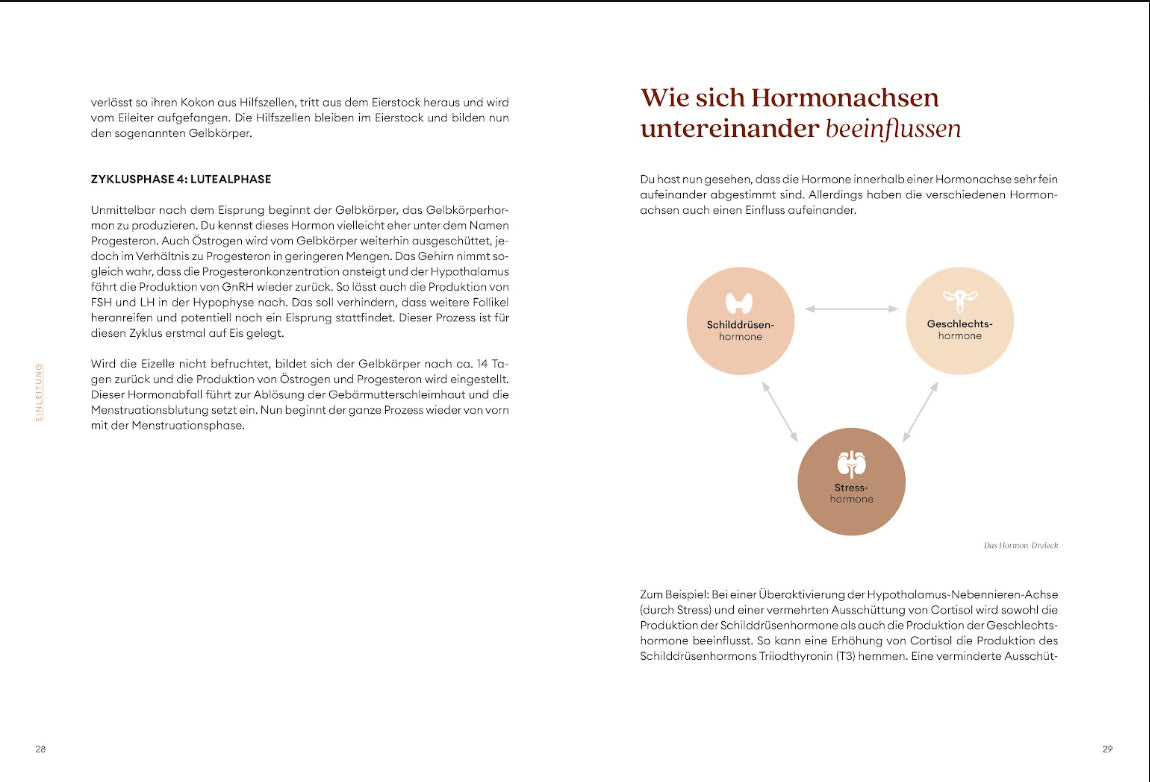 Diagnose Guide bei Hormonstörungen