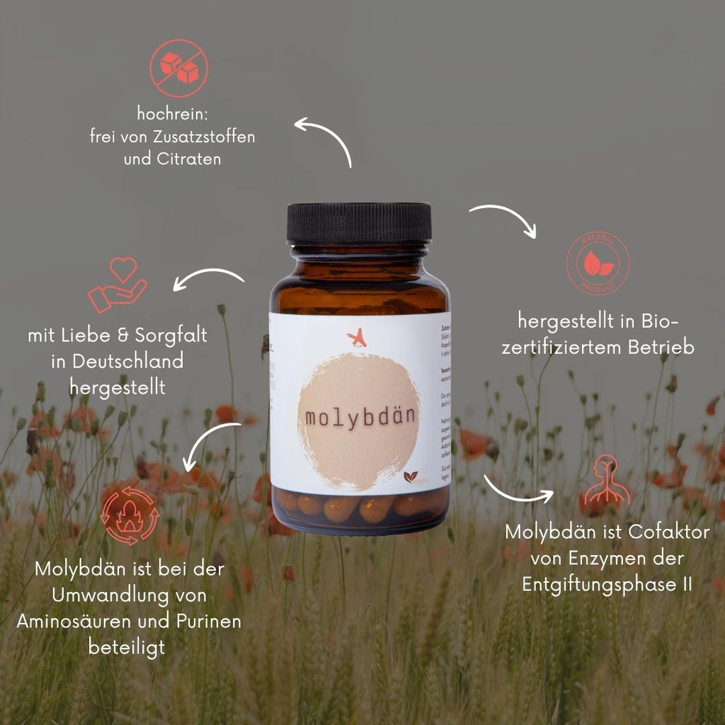Molybdän - 60 Kapseln