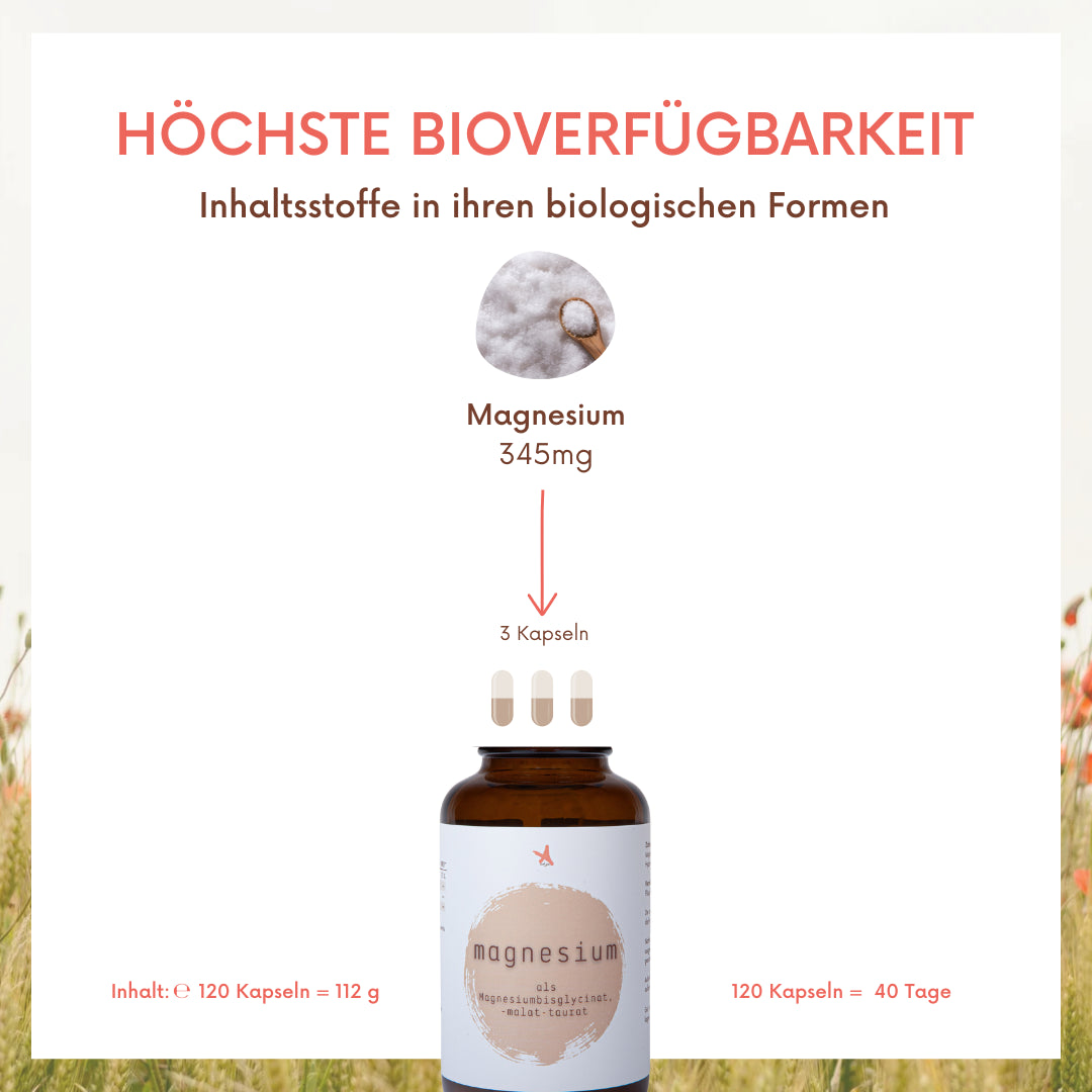 Magnesium als Bisglycinat Malat Taurat  - 120 Kapseln - citratfrei - Dreifach-Komplex