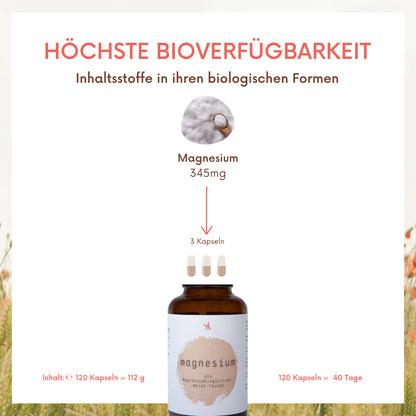 Magnesium als Bisglycinat Malat Taurat  - 120 Kapseln - citratfrei - Dreifach-Komplex