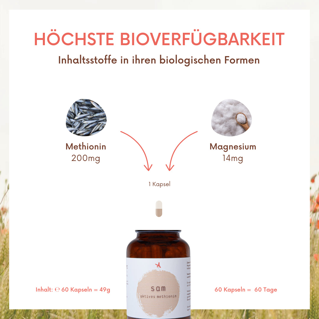SAMe 60 Kapseln | S-Adenosyl-methionin