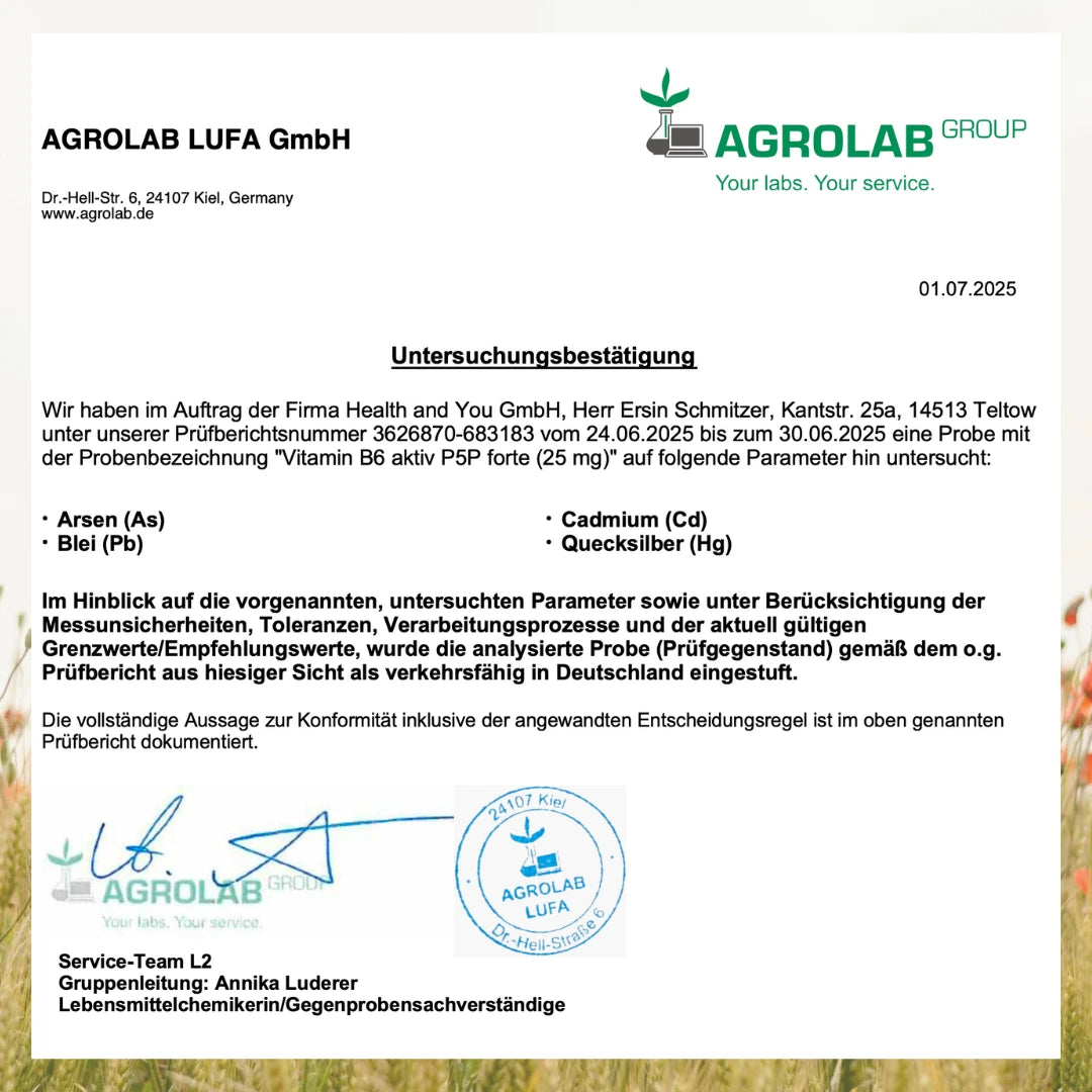 Vitamin B6 aktiv forte - 120 Kapseln