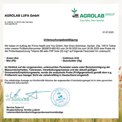 Vitamin B6 aktiv forte - 120 Kapseln