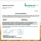 and you cholin mit Cognizin – 90 Kapseln