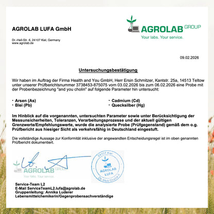 and you cholin mit Cognizin – 90 Kapseln