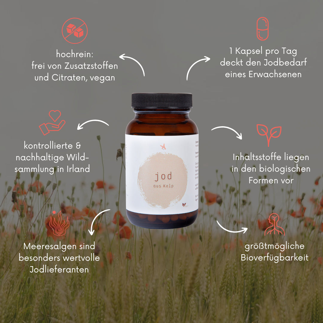 Jod aus Kelp - 120 Kapseln