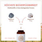 SAMe 60 Kapseln | S-Adenosyl-methionin