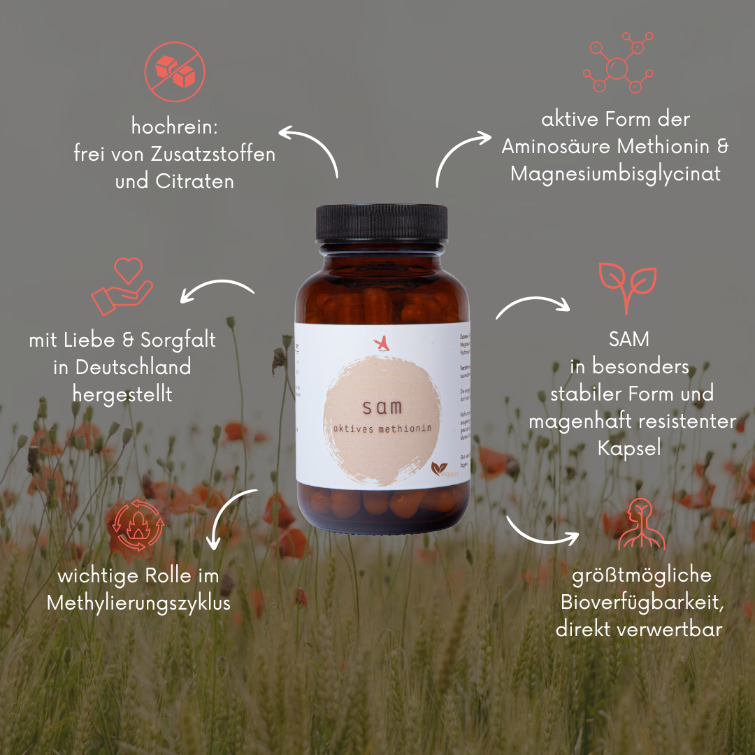 SAMe 60 Kapseln | S-Adenosyl-methionin