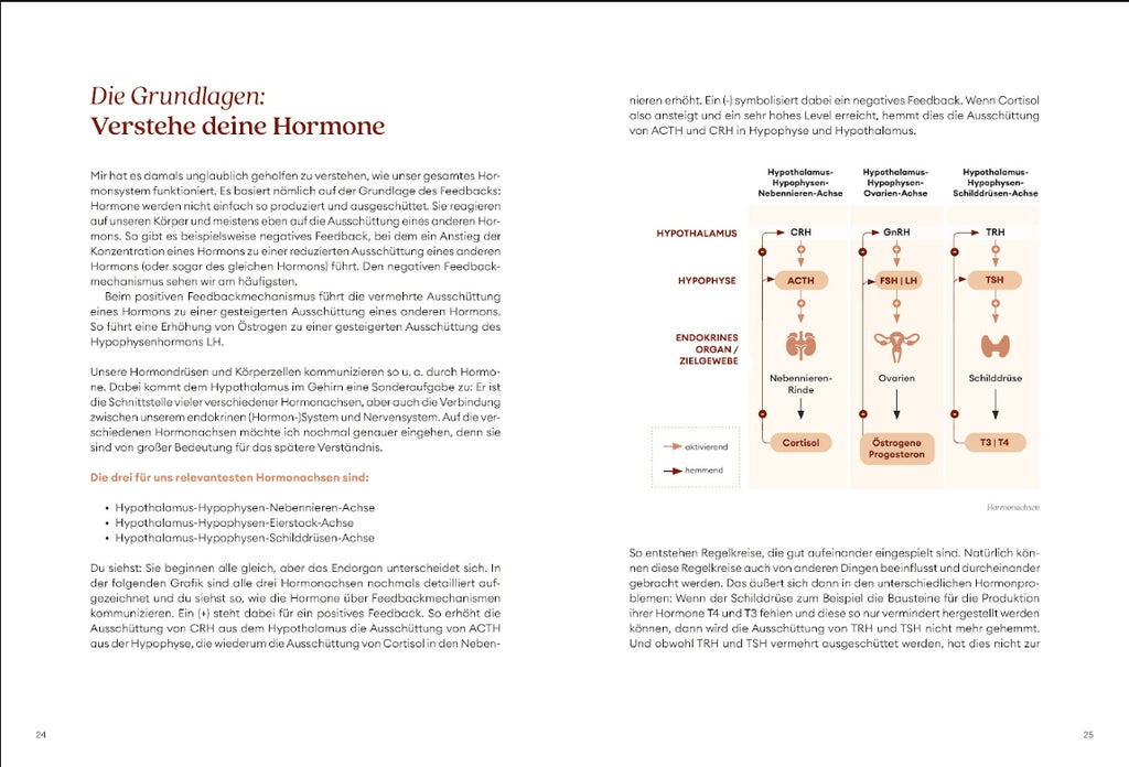Diagnose Guide bei Hormonstörungen