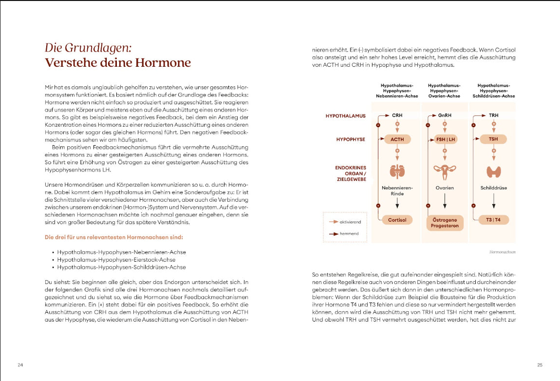 Diagnose Guide bei Hormonstörungen