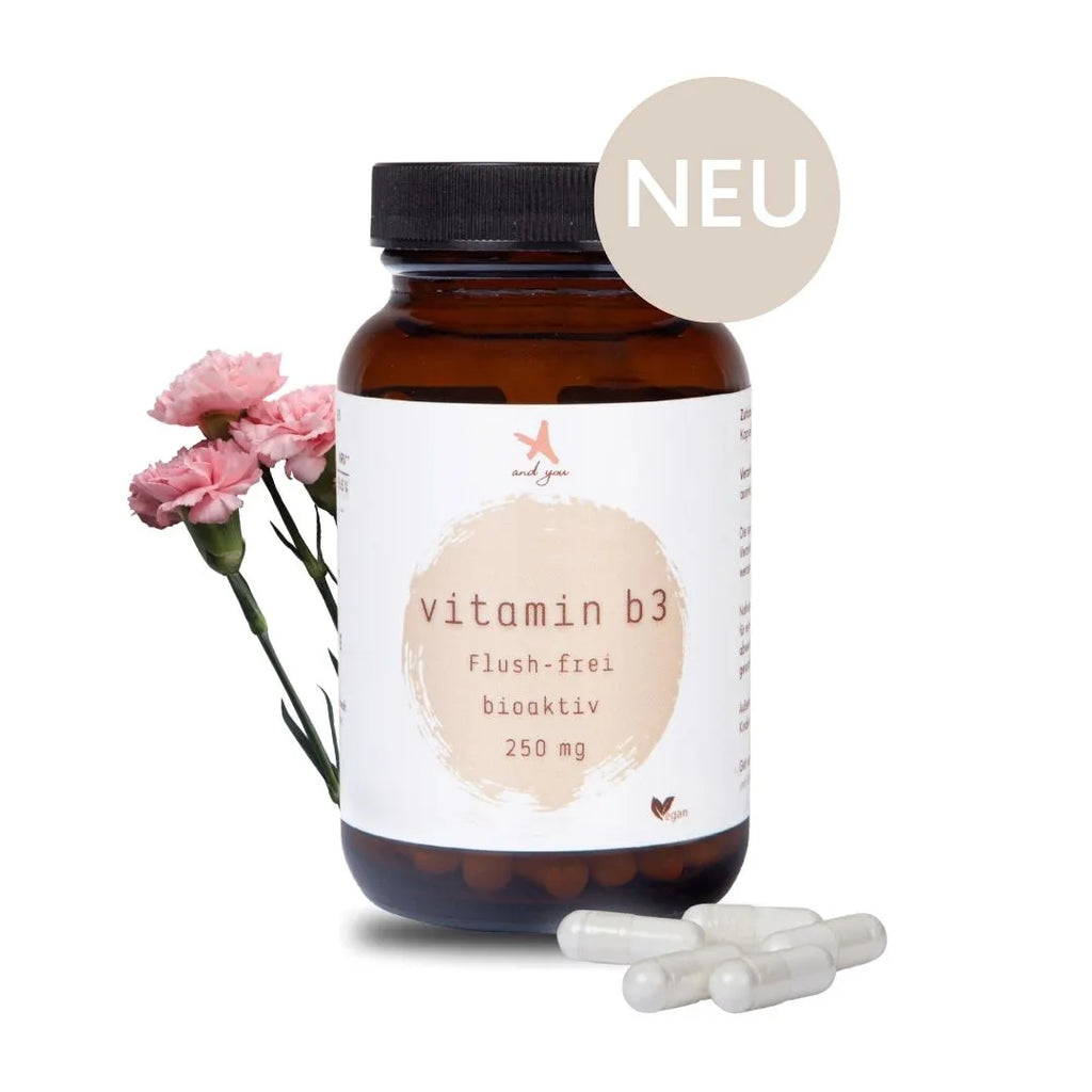 Vitamin B3 - 60 Kapseln