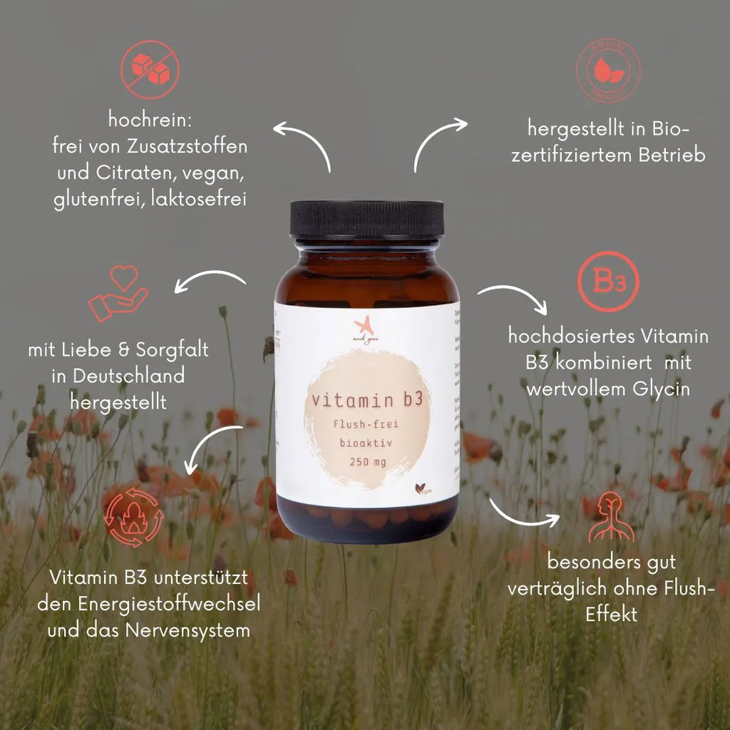 Vitamin B3 - 60 Kapseln