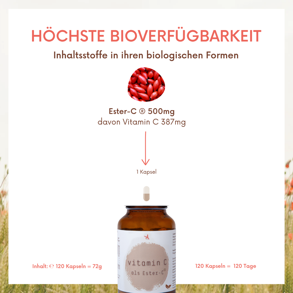 Vitamin C als Ester-C® - 120 Kapseln
